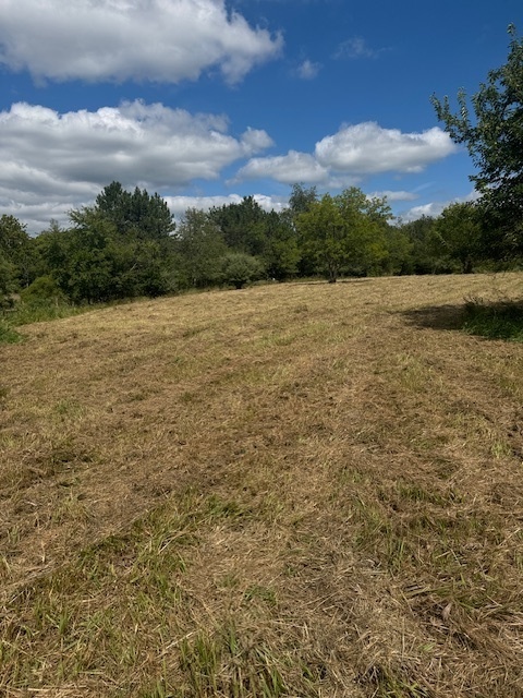 7 Rebecca Lane, Clinton, IL 61727