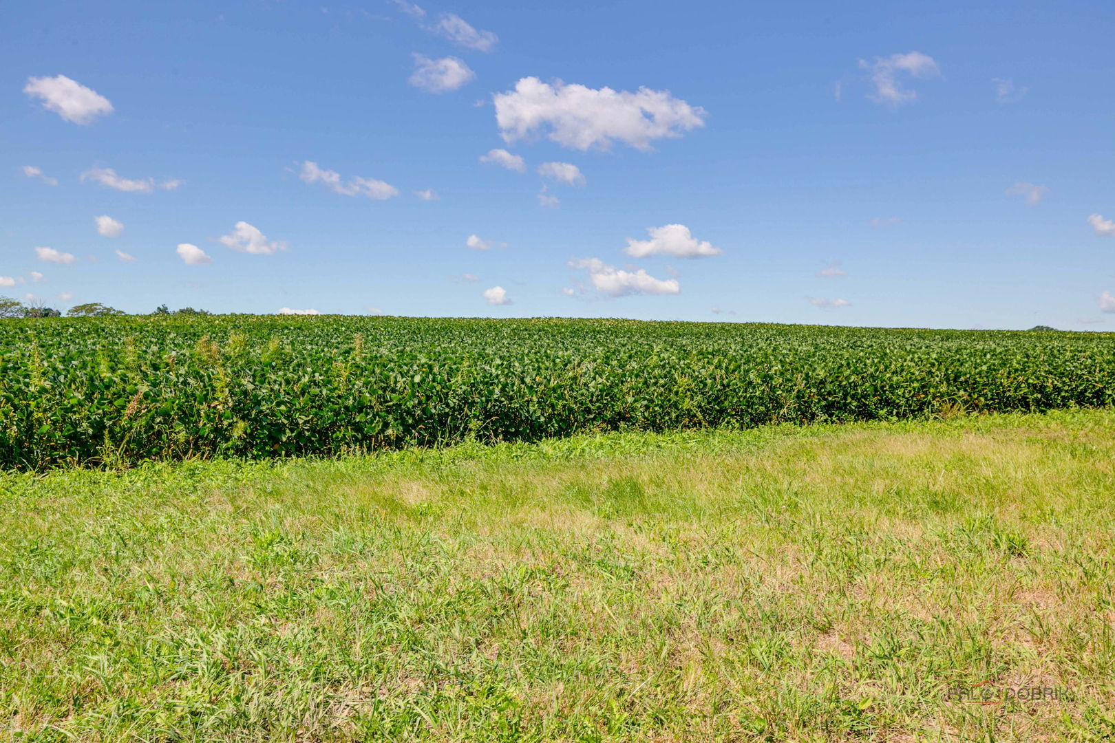 28232 N Gilmer Road, Mundelein, IL 60060