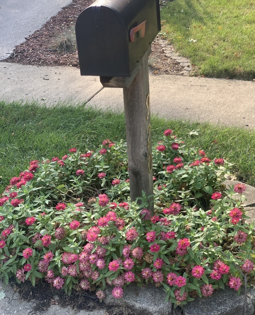 920 Plymouth Court, Algonquin, IL 60102