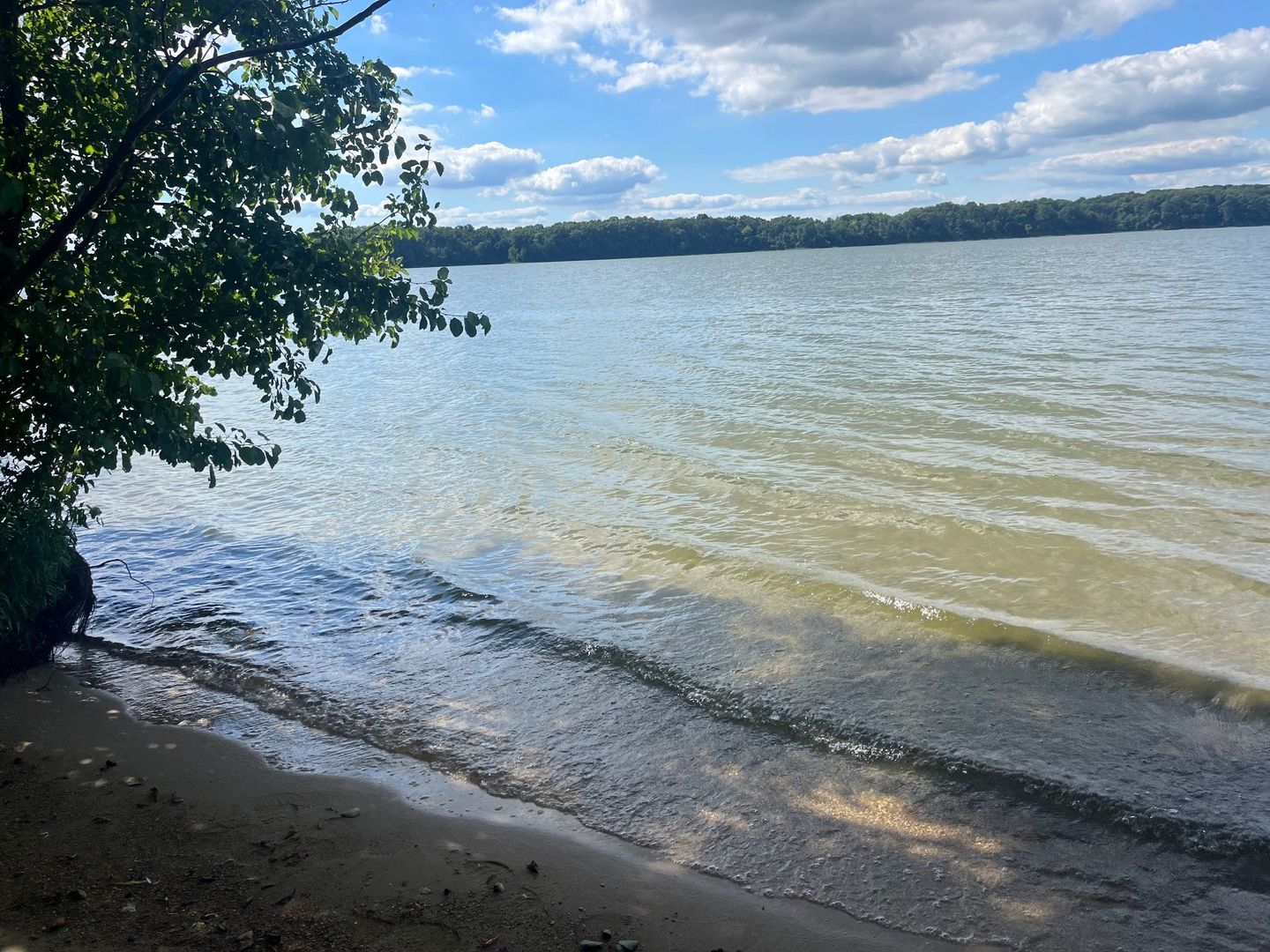 5751 White Pigeon Road, Weldon, IL 61882