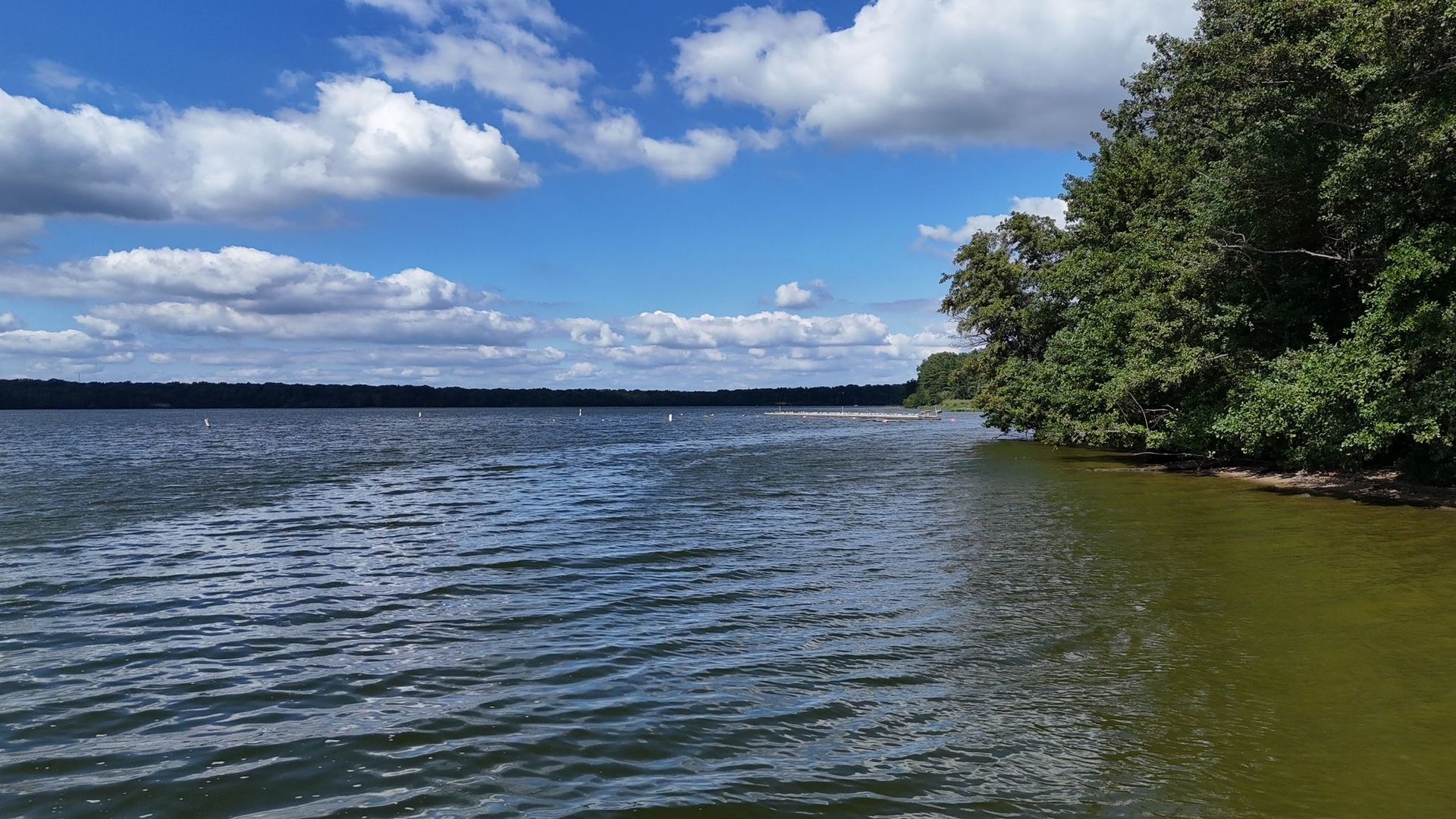 5751 White Pigeon Road, Weldon, IL 61882