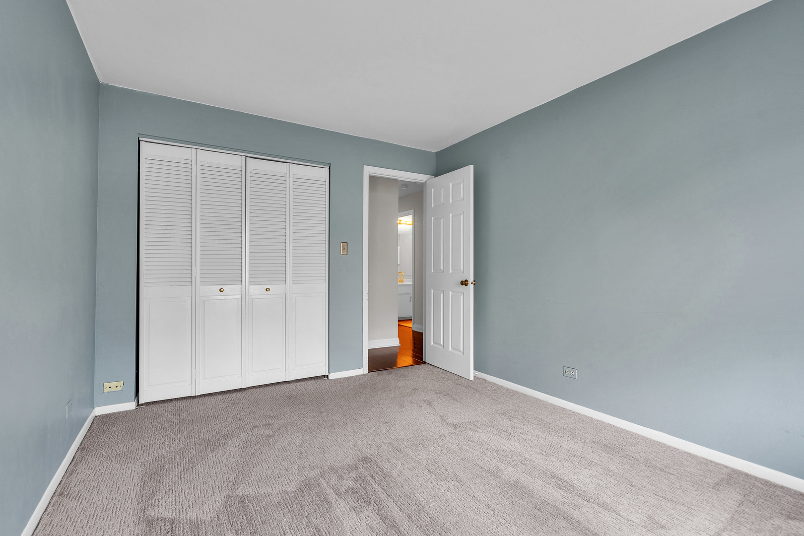 1719 LAKECLIFFE Drive #C, Wheaton, IL 60189