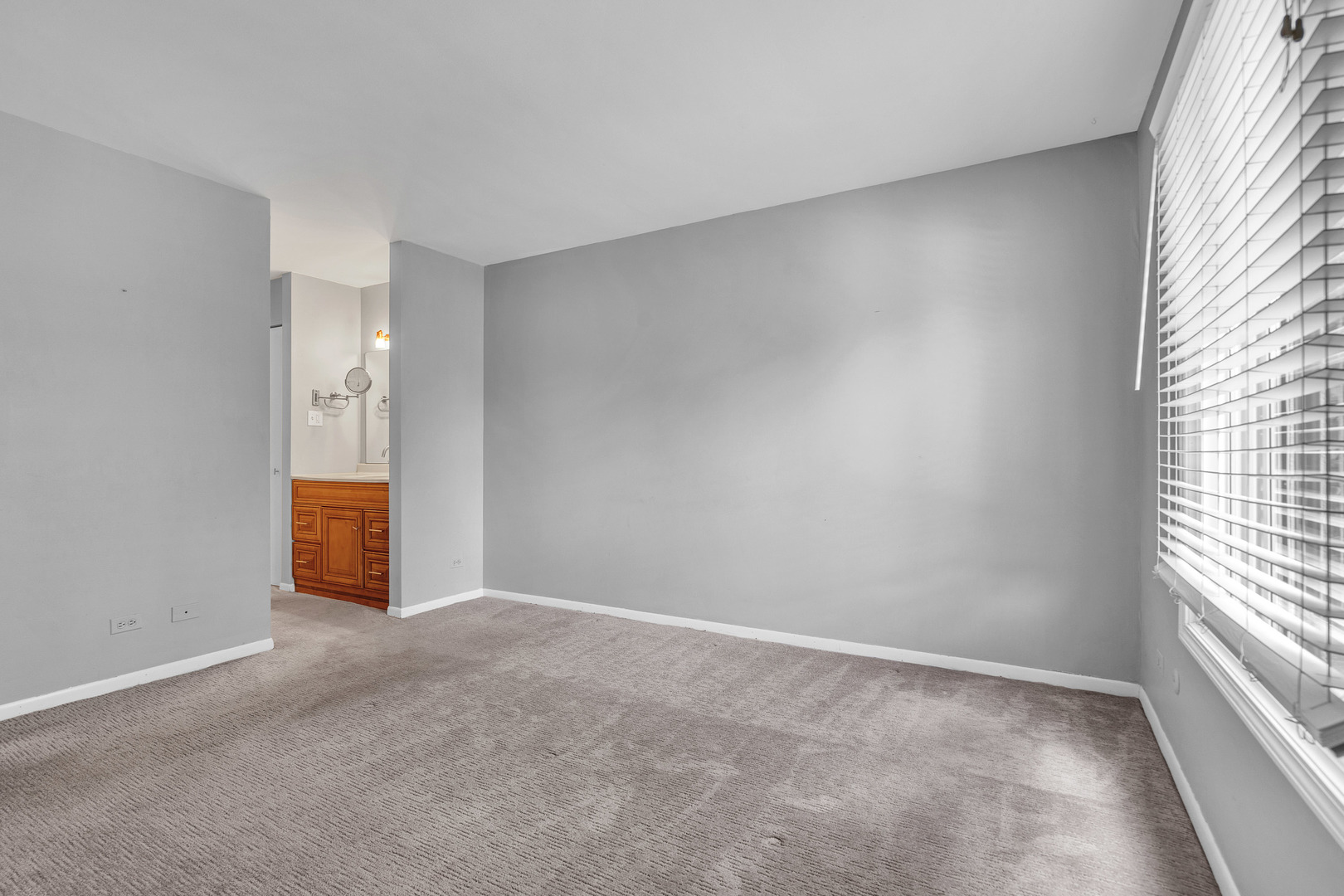 1719 LAKECLIFFE Drive #C, Wheaton, IL 60189