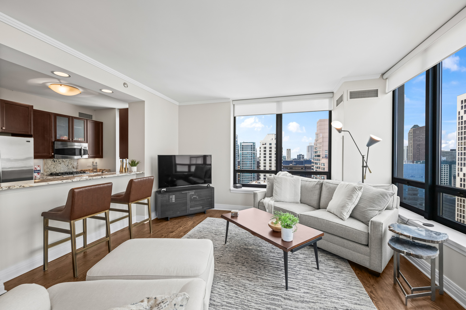 600 N Lake Shore Drive #4209, Chicago, IL 60611