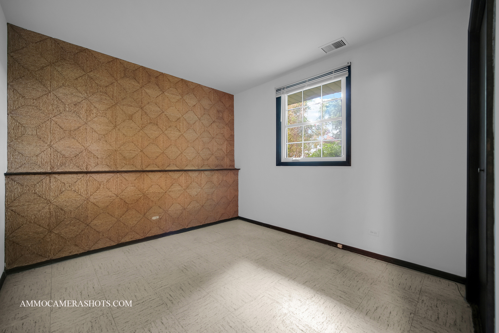 141 N Lancaster Drive, Bolingbrook, IL 60440