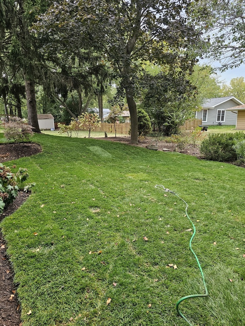 141 N Lancaster Drive, Bolingbrook, IL 60440