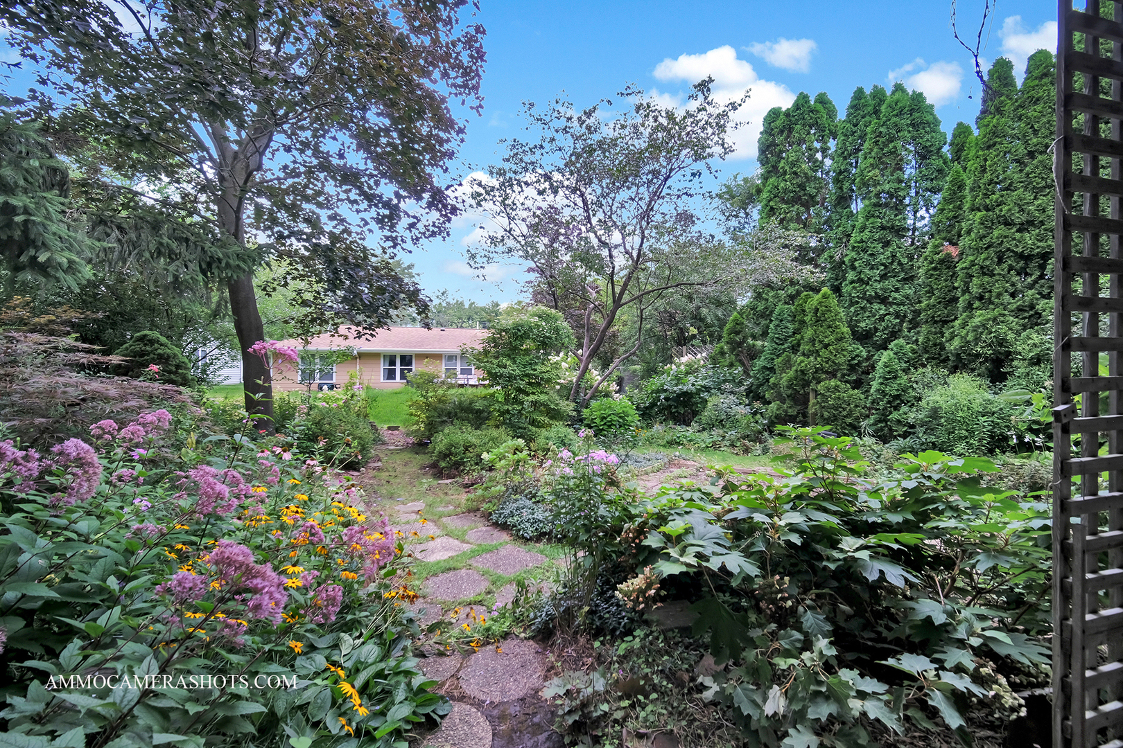 141 N Lancaster Drive, Bolingbrook, IL 60440