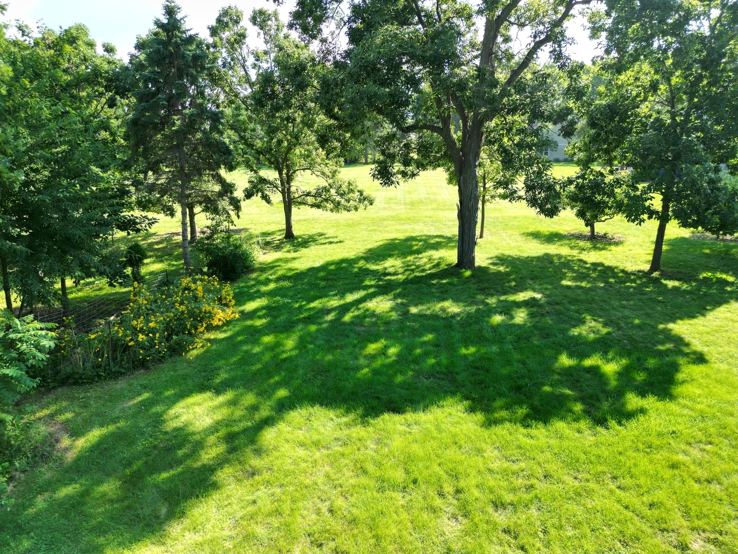 3616 Wisteria Drive, Crystal Lake, IL 60012