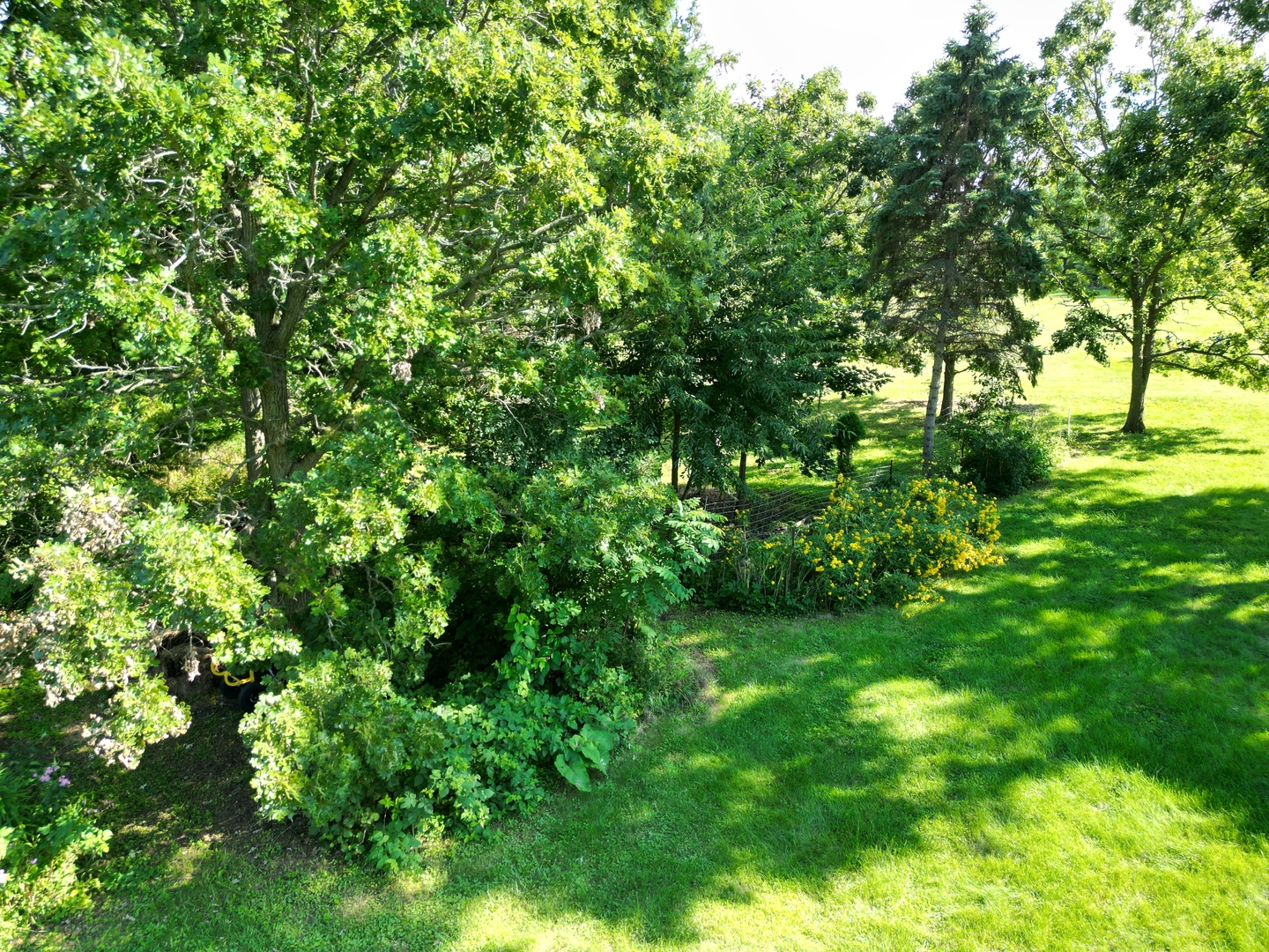 3616 Wisteria Drive, Crystal Lake, IL 60012