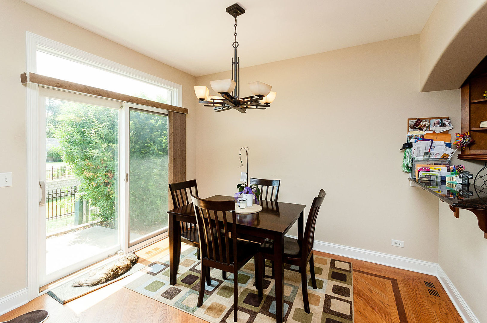196 Mayo Court, Elmhurst, IL 60126