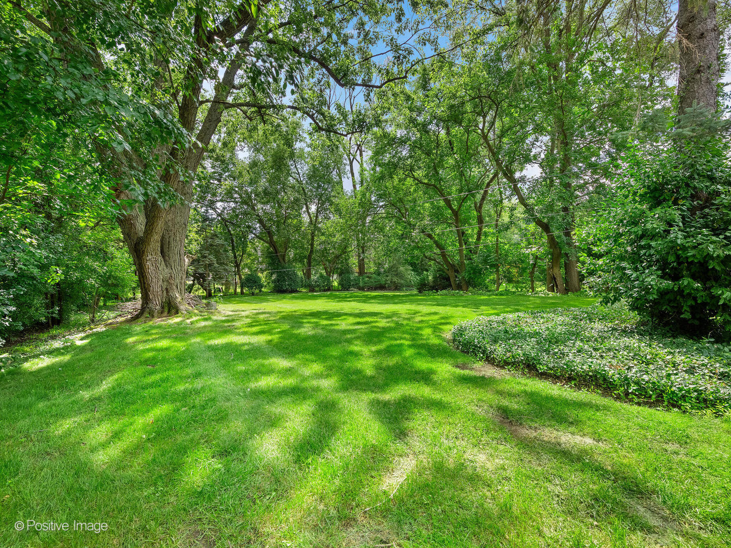 363 Ruby Street, Clarendon Hills, IL 60514