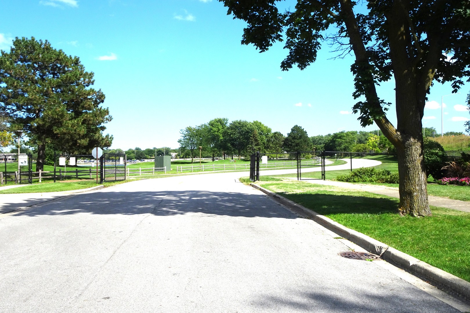 945 E Kenilworth Avenue #429, Palatine, IL 60074