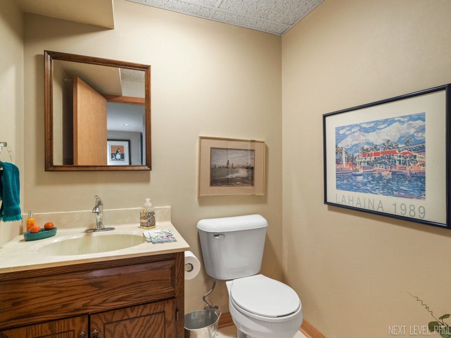 6181 Shorewood Court, Lisle, IL 60532