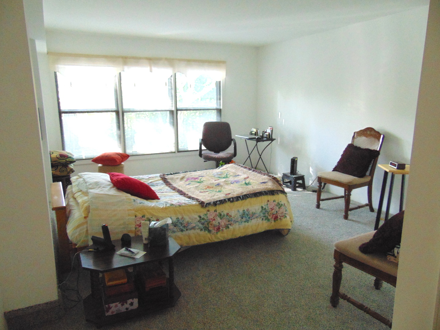 858 N Auburn Woods Drive, Palatine, IL 60067