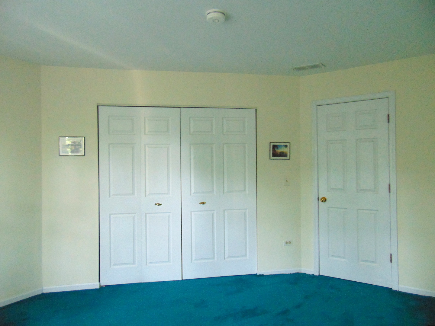 858 N Auburn Woods Drive, Palatine, IL 60067