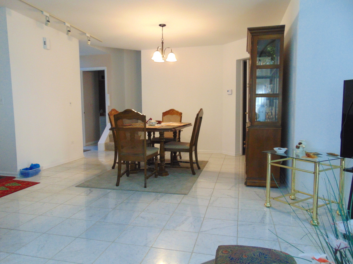 858 N Auburn Woods Drive, Palatine, IL 60067