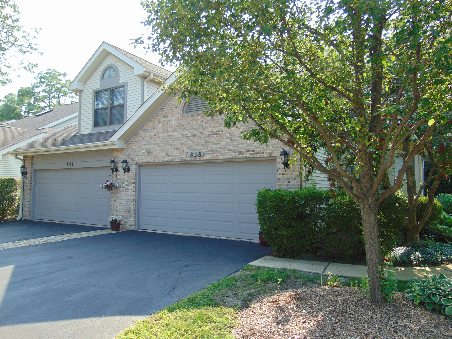 858 N Auburn Woods Drive, Palatine, IL 60067