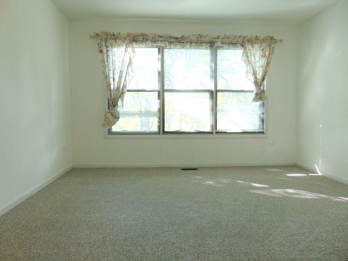 858 N Auburn Woods Drive, Palatine, IL 60067