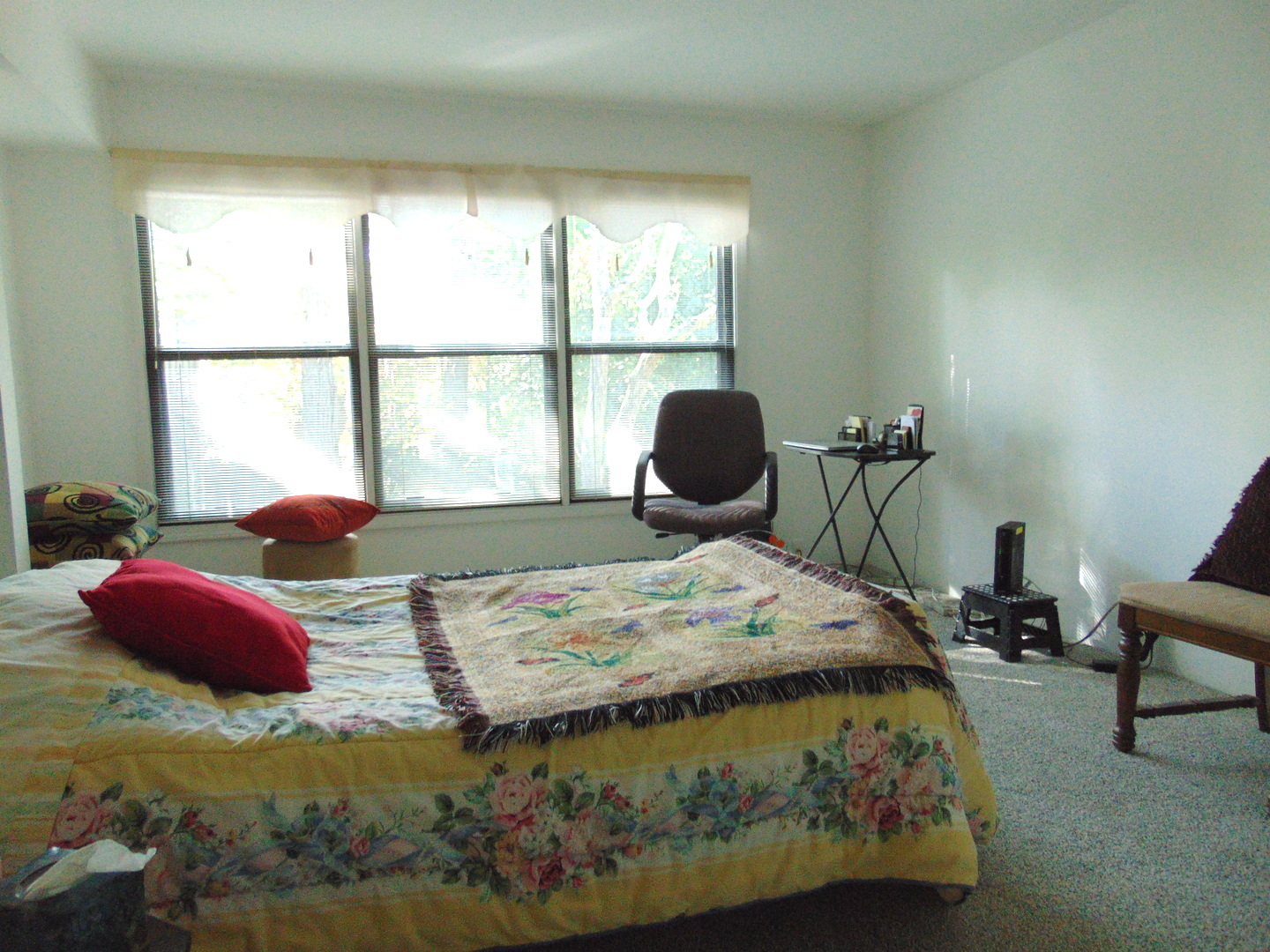 858 N Auburn Woods Drive, Palatine, IL 60067