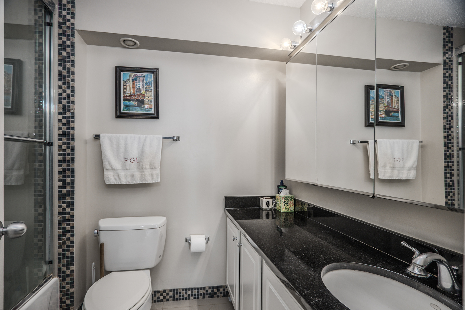 10 E Ontario Street #4208, Chicago, IL 60611