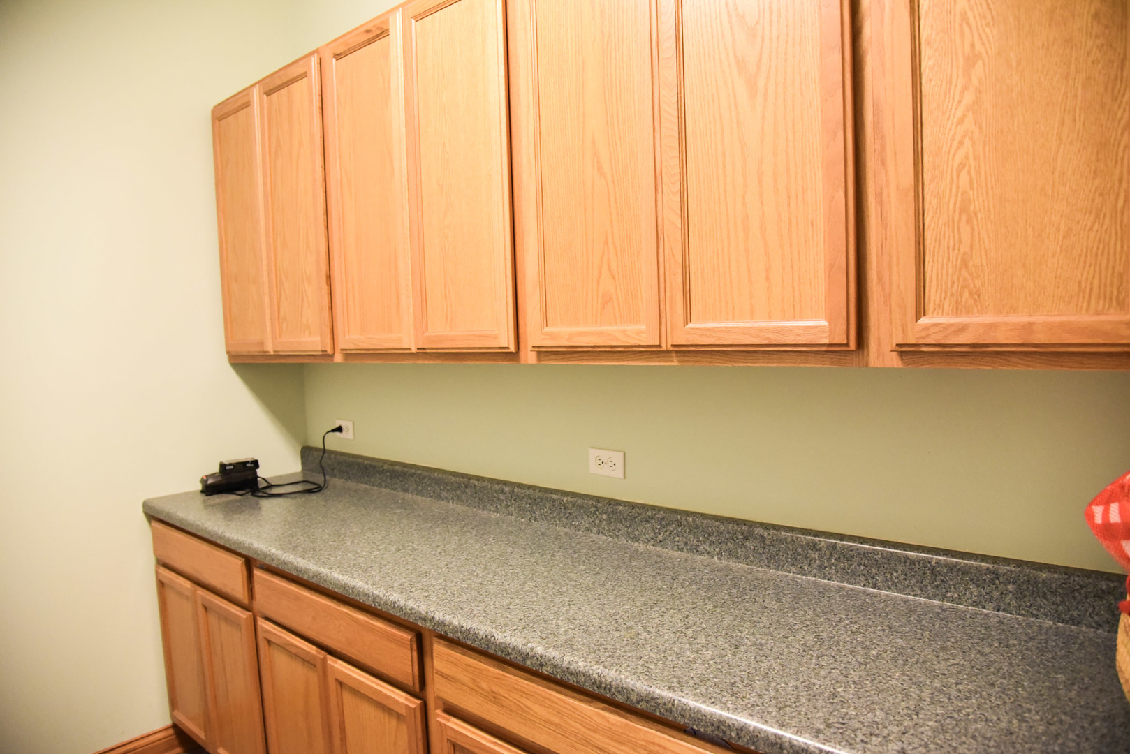 40354 N Belle Foret Drive, Wadsworth, IL 60083
