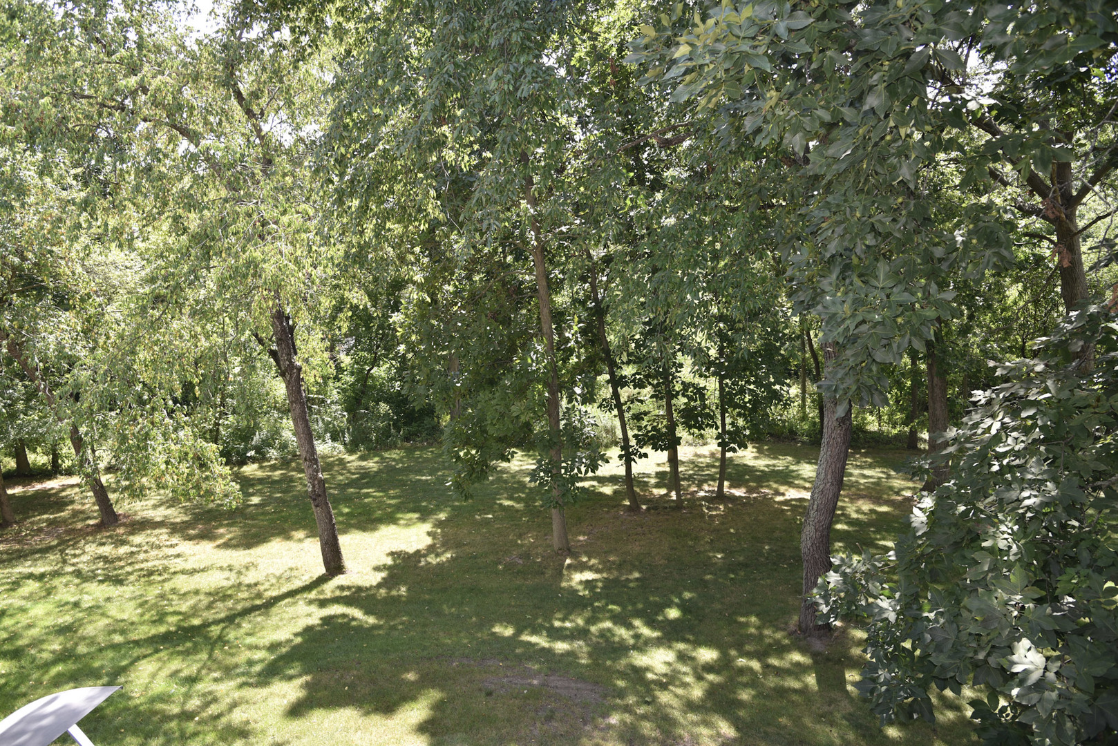 40354 N Belle Foret Drive, Wadsworth, IL 60083