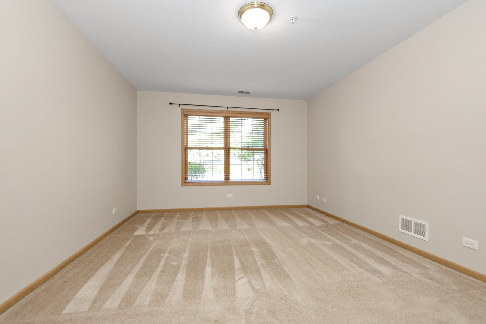 20301 S Pine Hill Road #1D, Frankfort, IL 60423