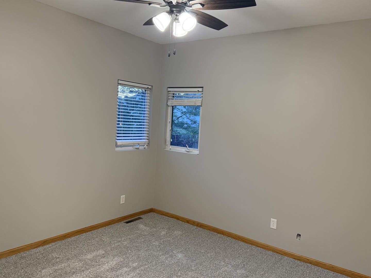 311 W Franklin Street, Princeton, IL 61356