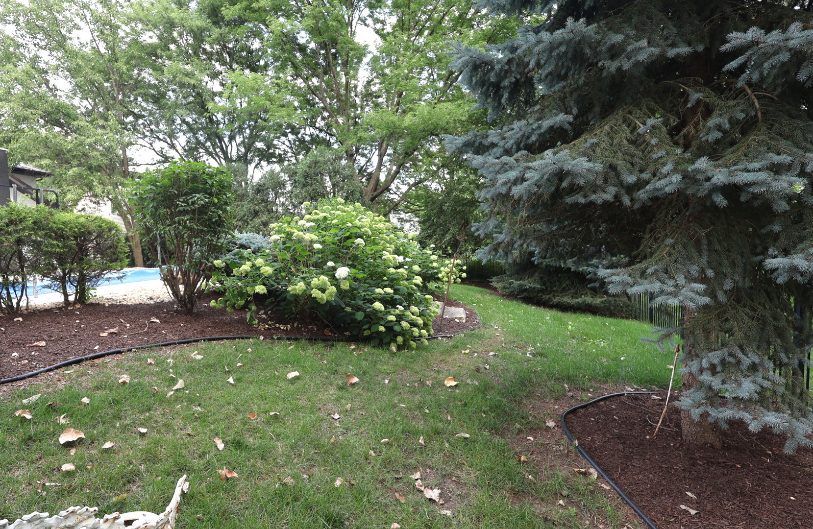 2221 Donegal Drive, Darien, IL 60561