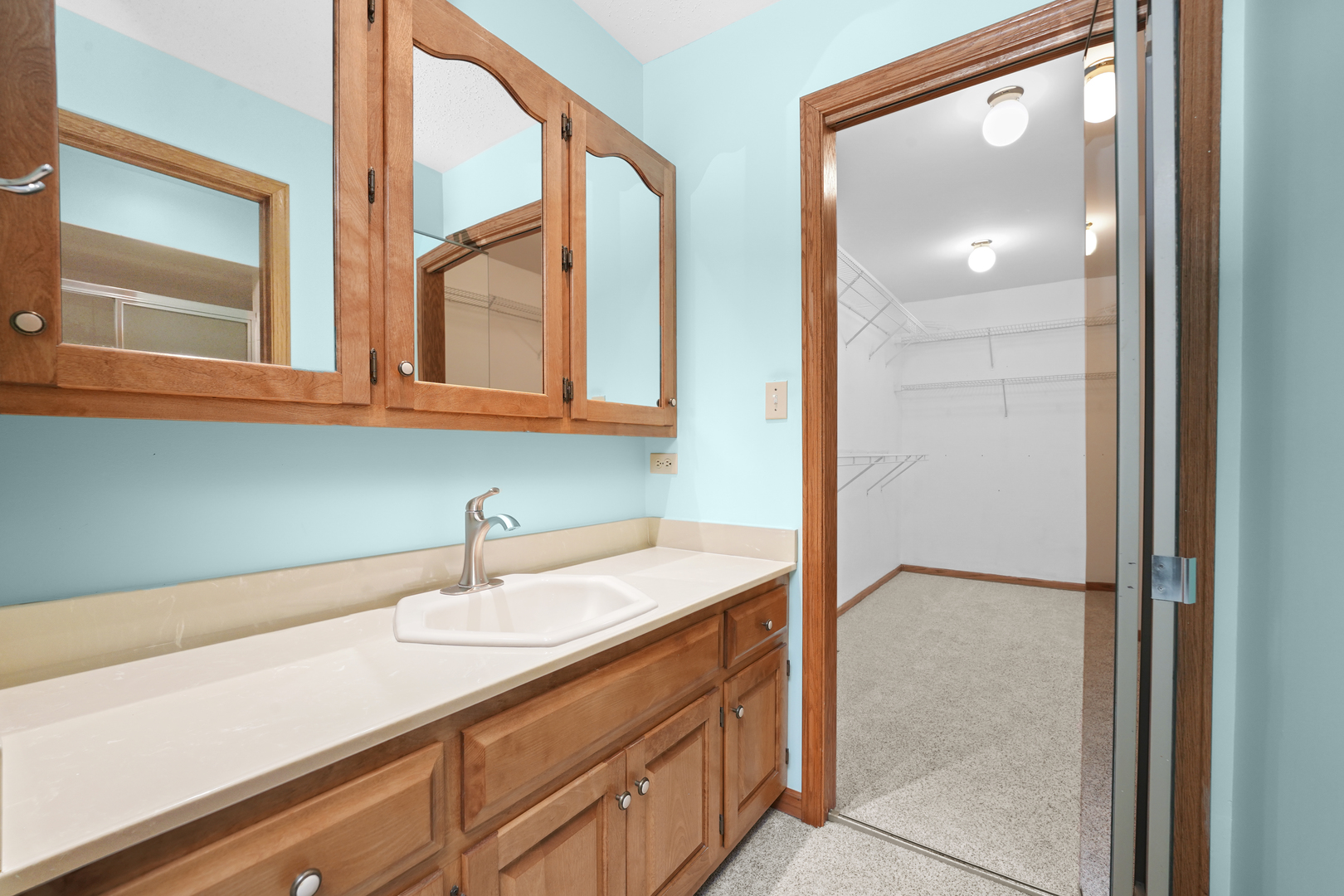 9366 Fox Run Circle, Frankfort, IL 60423