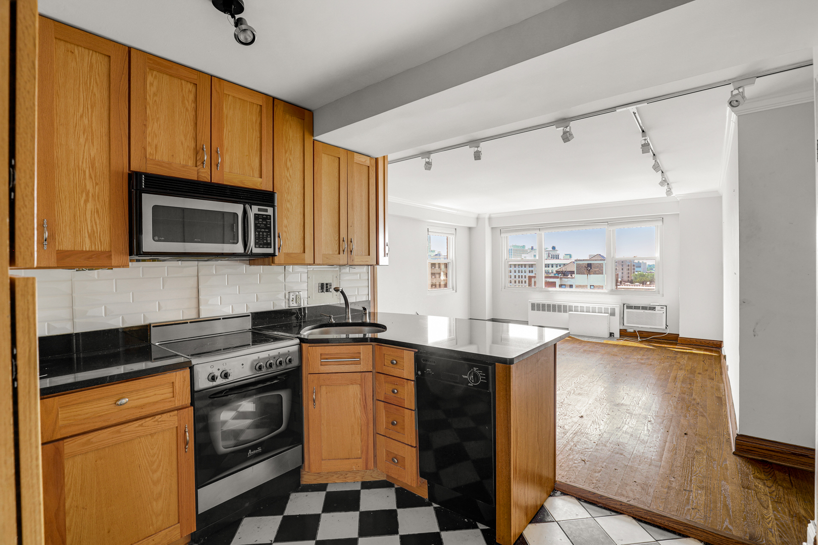 2909 N Sheridan Road #1105, Chicago, IL 60657