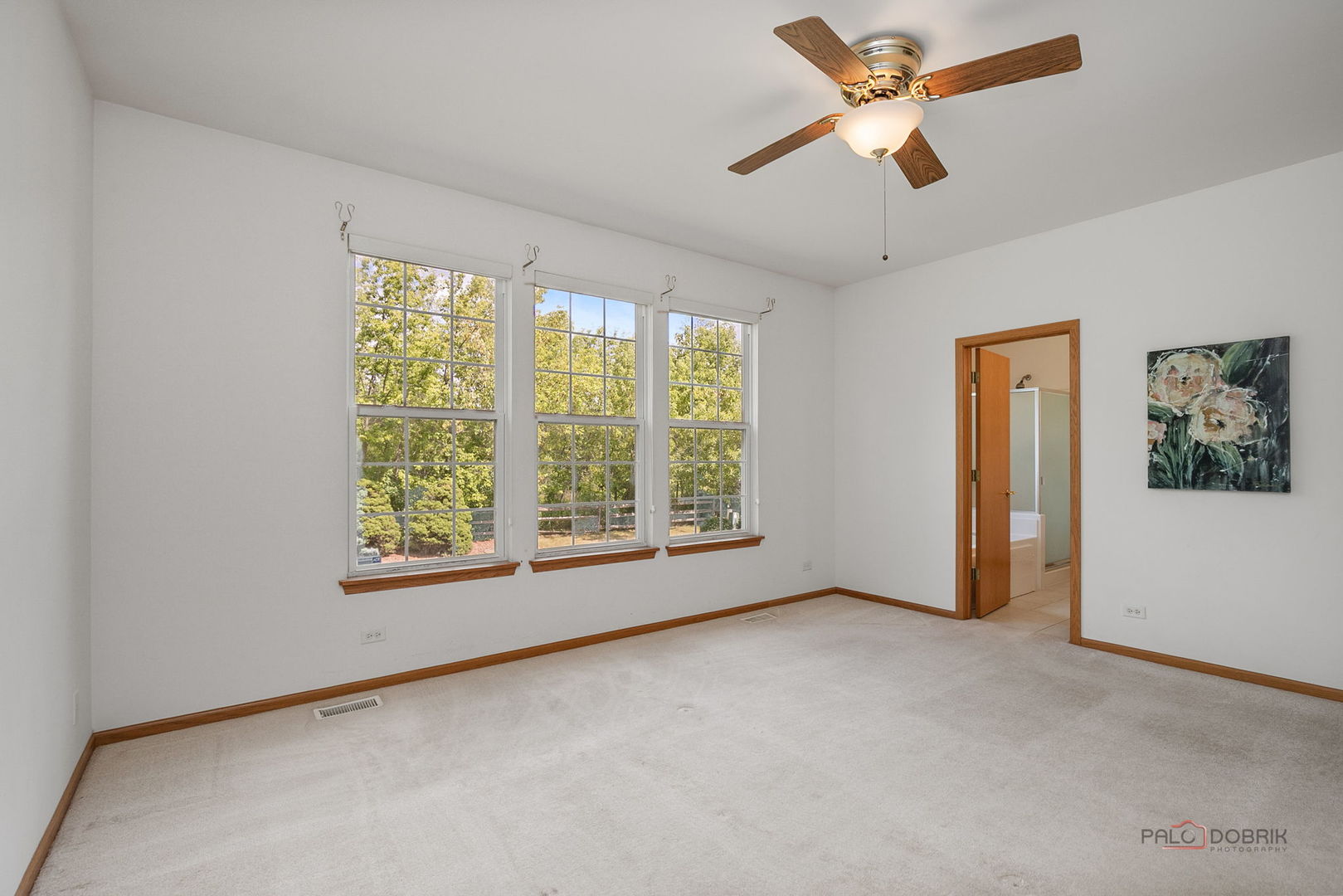 1087 Waterview Circle, Antioch, IL 60002