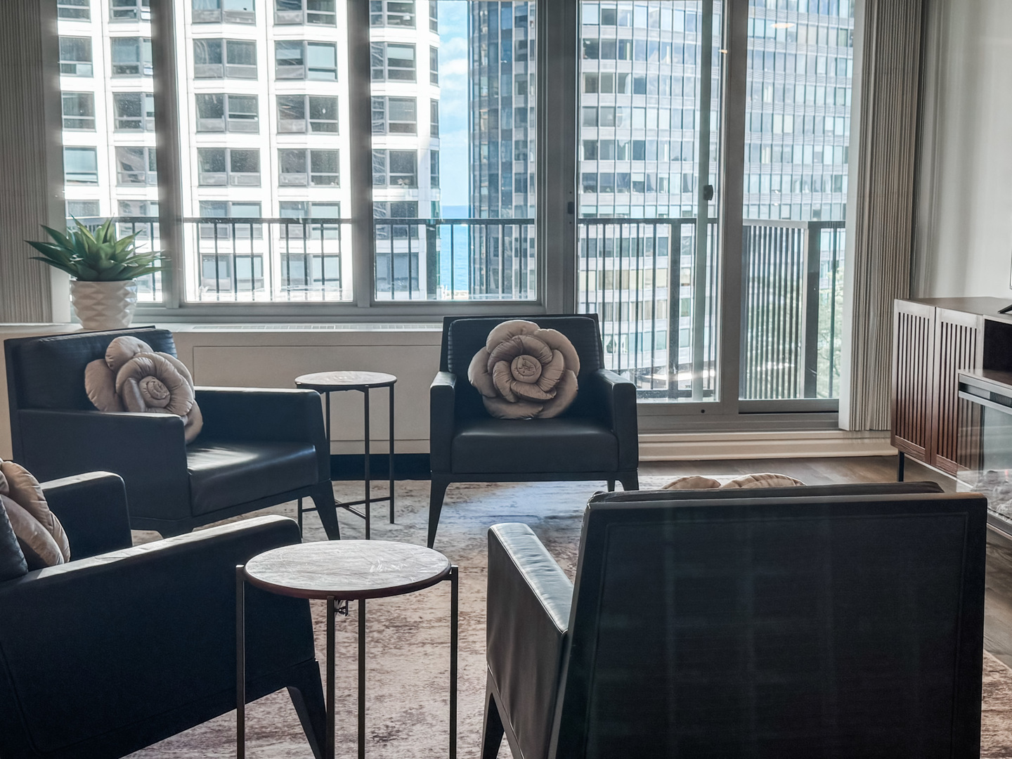 400 E Randolph Street #1229, Chicago, IL 60601