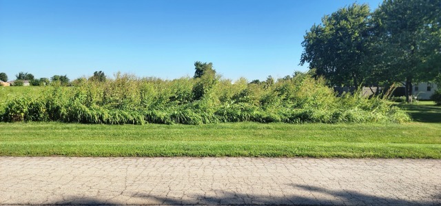Lot #9 Lot #9, Grant Park, IL 60940