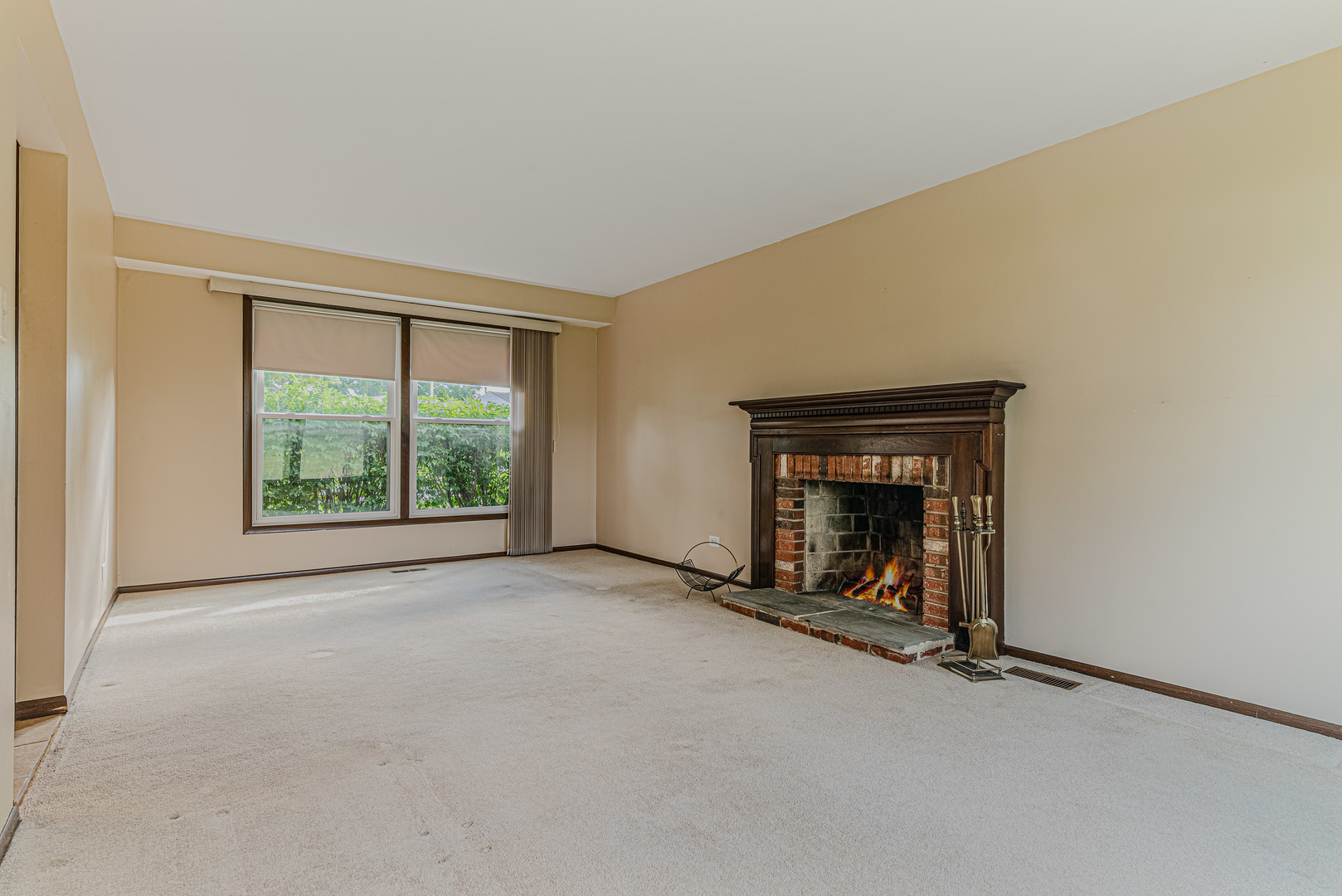 520 N Salem Drive, Schaumburg, IL 60194