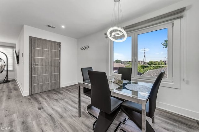 516 W ida Court #1, Mount Prospect, IL 60056
