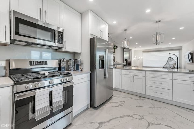 516 W ida Court #1, Mount Prospect, IL 60056
