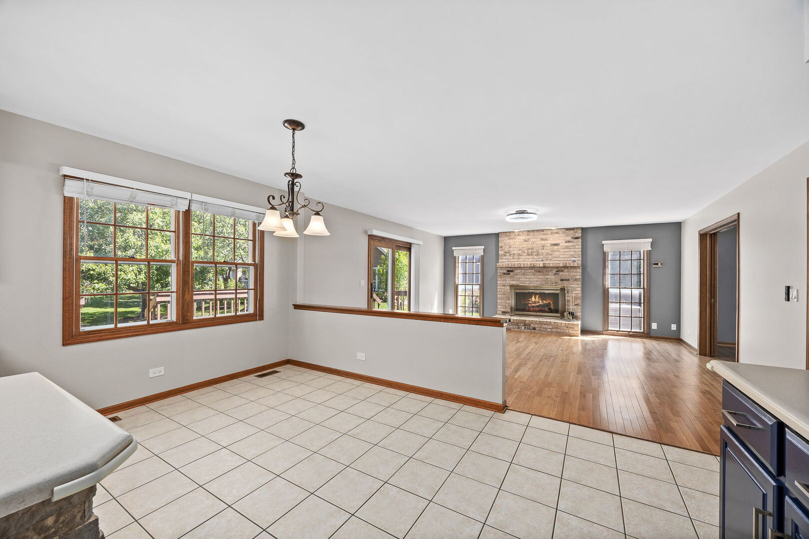 943 W Bailey Road, Naperville, IL 60565