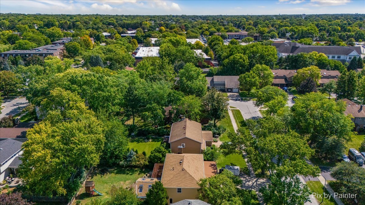 613 Zaininger Avenue, Naperville, IL 60563