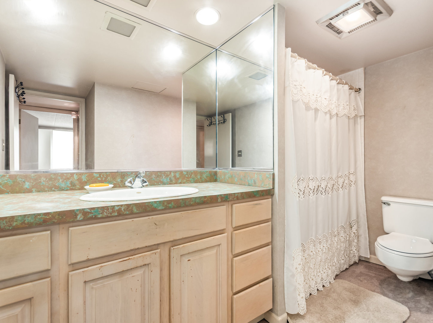 110 W Butterfield Road #206S, Elmhurst, IL 60126