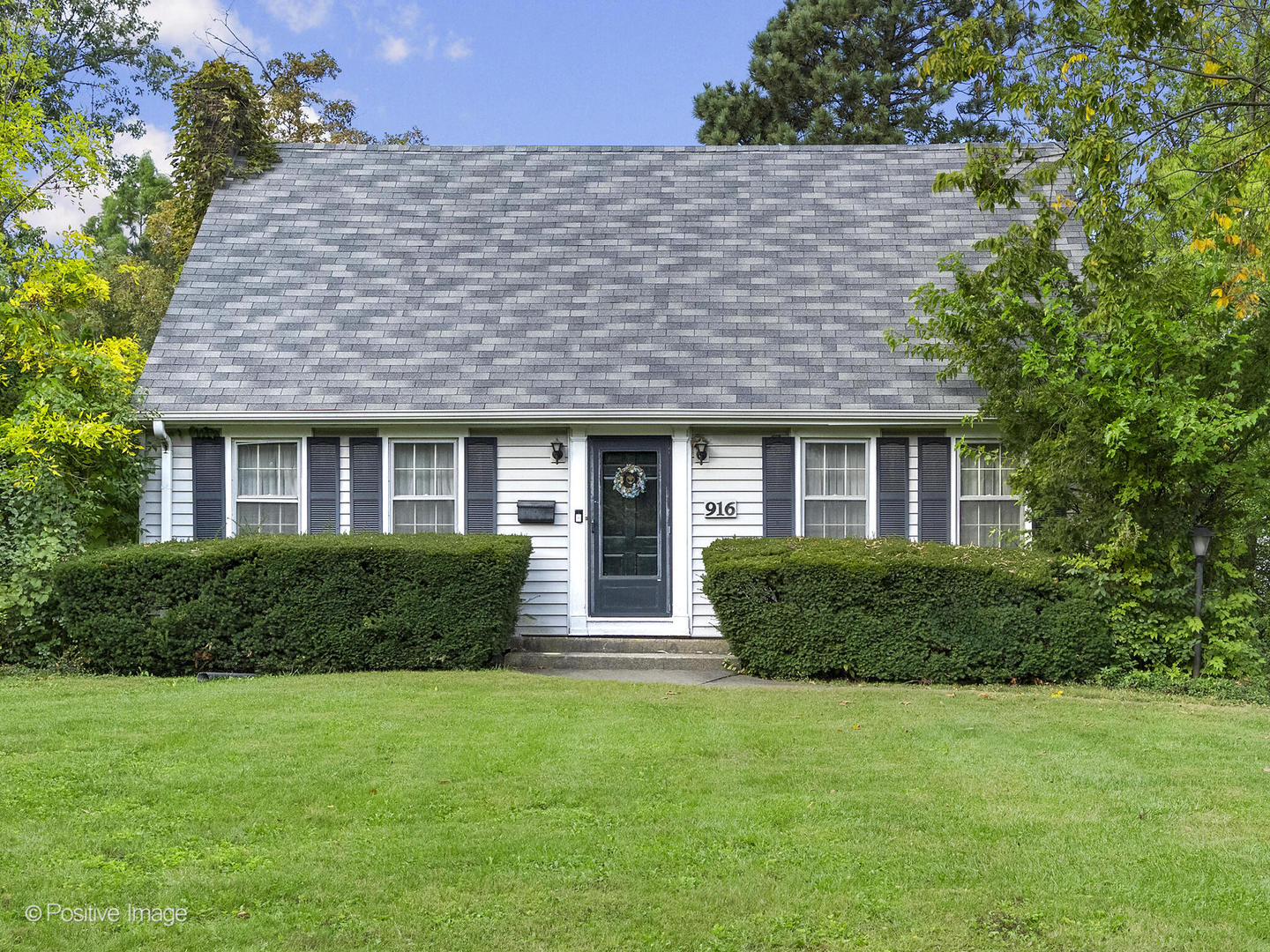 916 S Grant Street, Hinsdale, IL 60521
