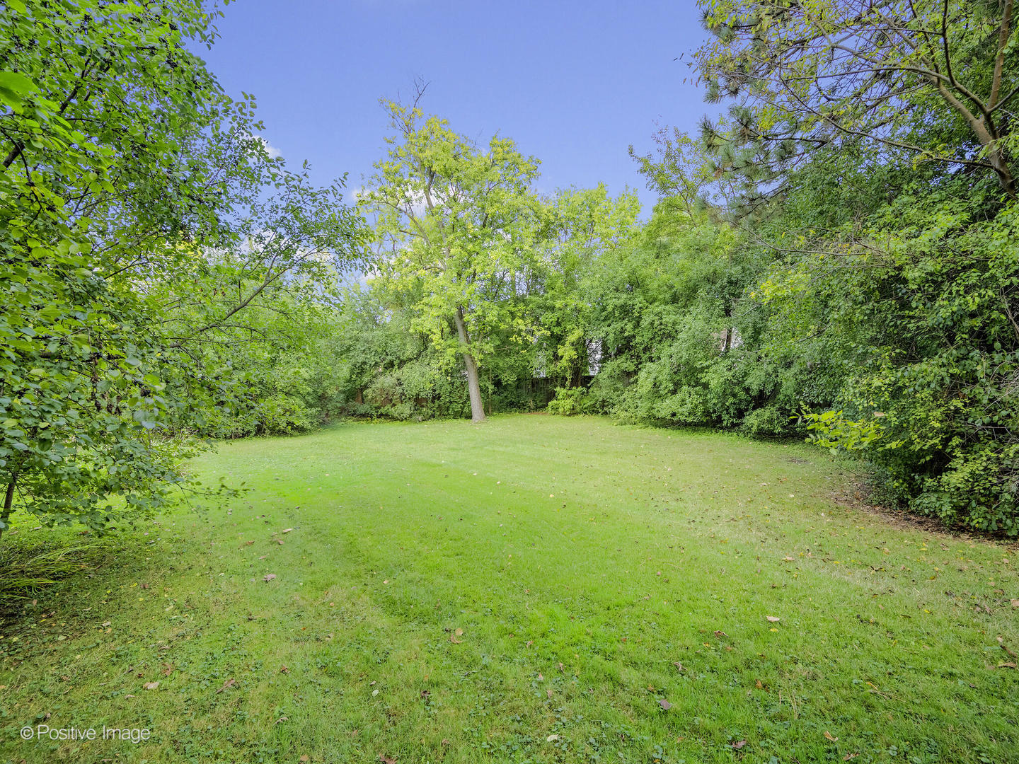 916 S Grant Street, Hinsdale, IL 60521
