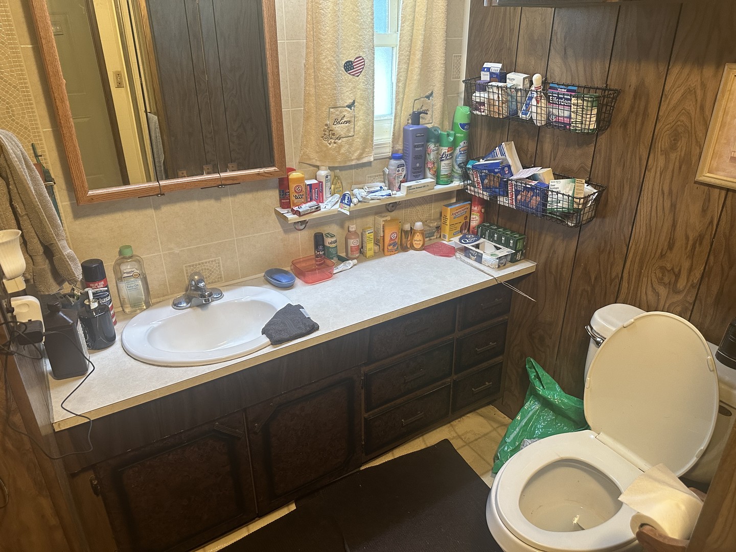 11 Aqueduct Drive, Diamond, IL 60416