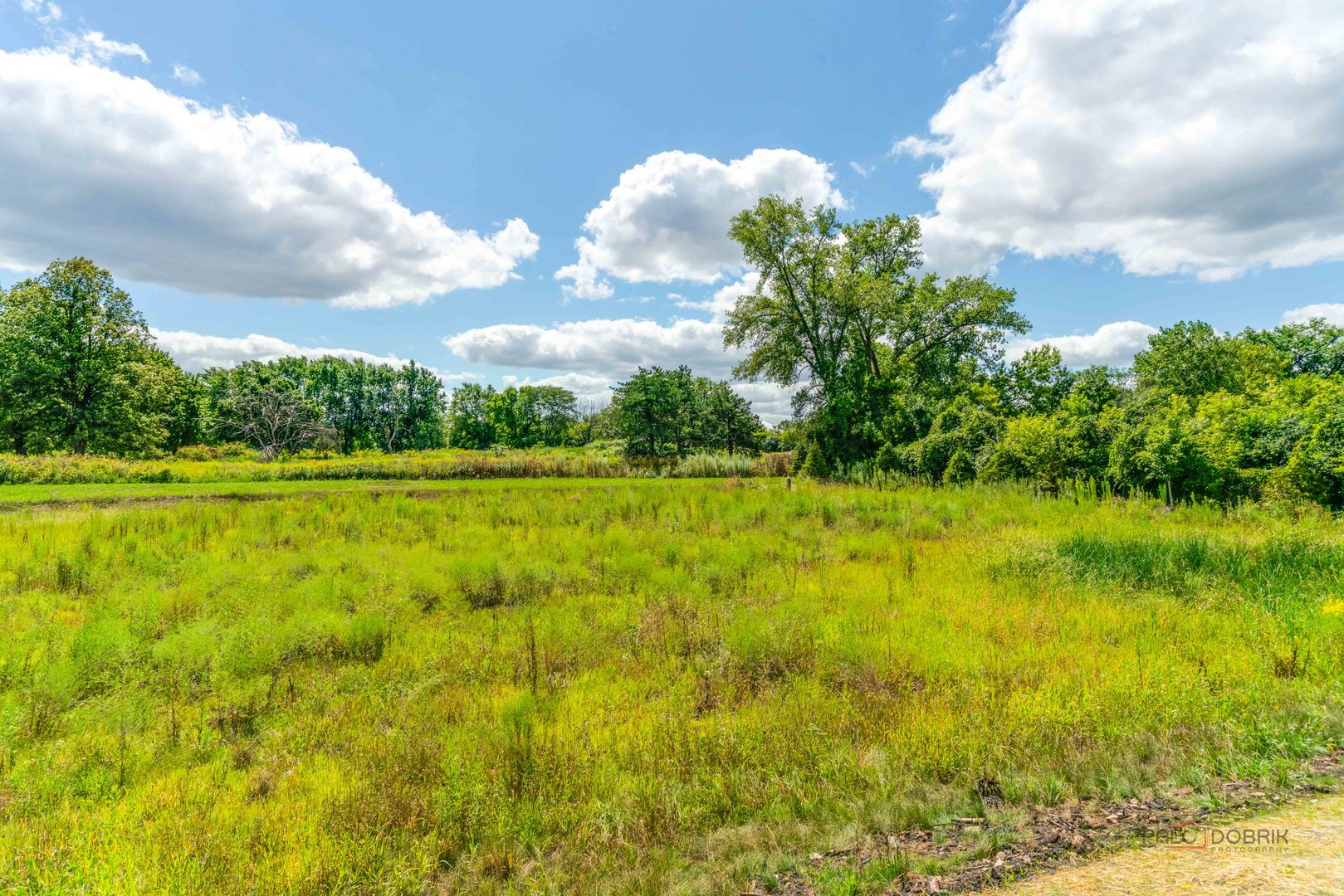 1066 Livingston Avenue, Highland Park, IL 60035