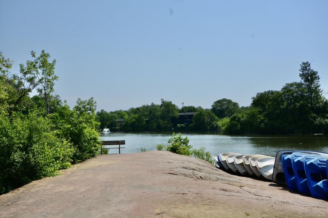 5500 Hillcrest Lane #129-1L, Lisle, IL 60532