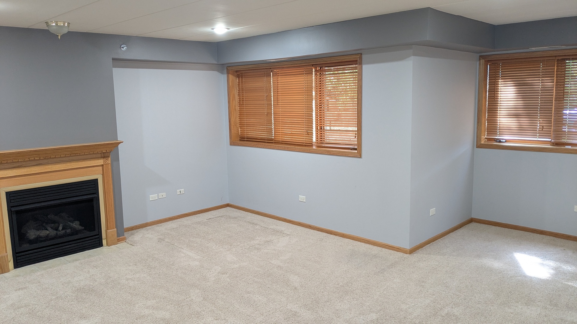 4407 Pershing Avenue #1S, Downers Grove, IL 60515