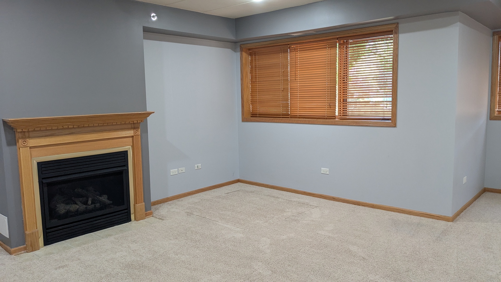 4407 Pershing Avenue #1S, Downers Grove, IL 60515