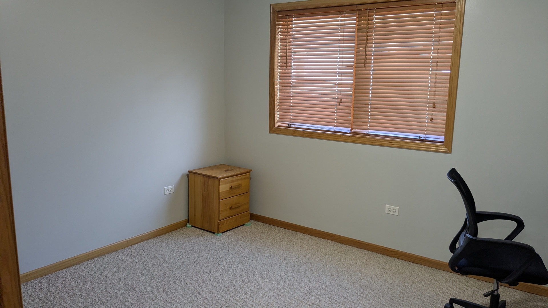 4407 Pershing Avenue #1S, Downers Grove, IL 60515