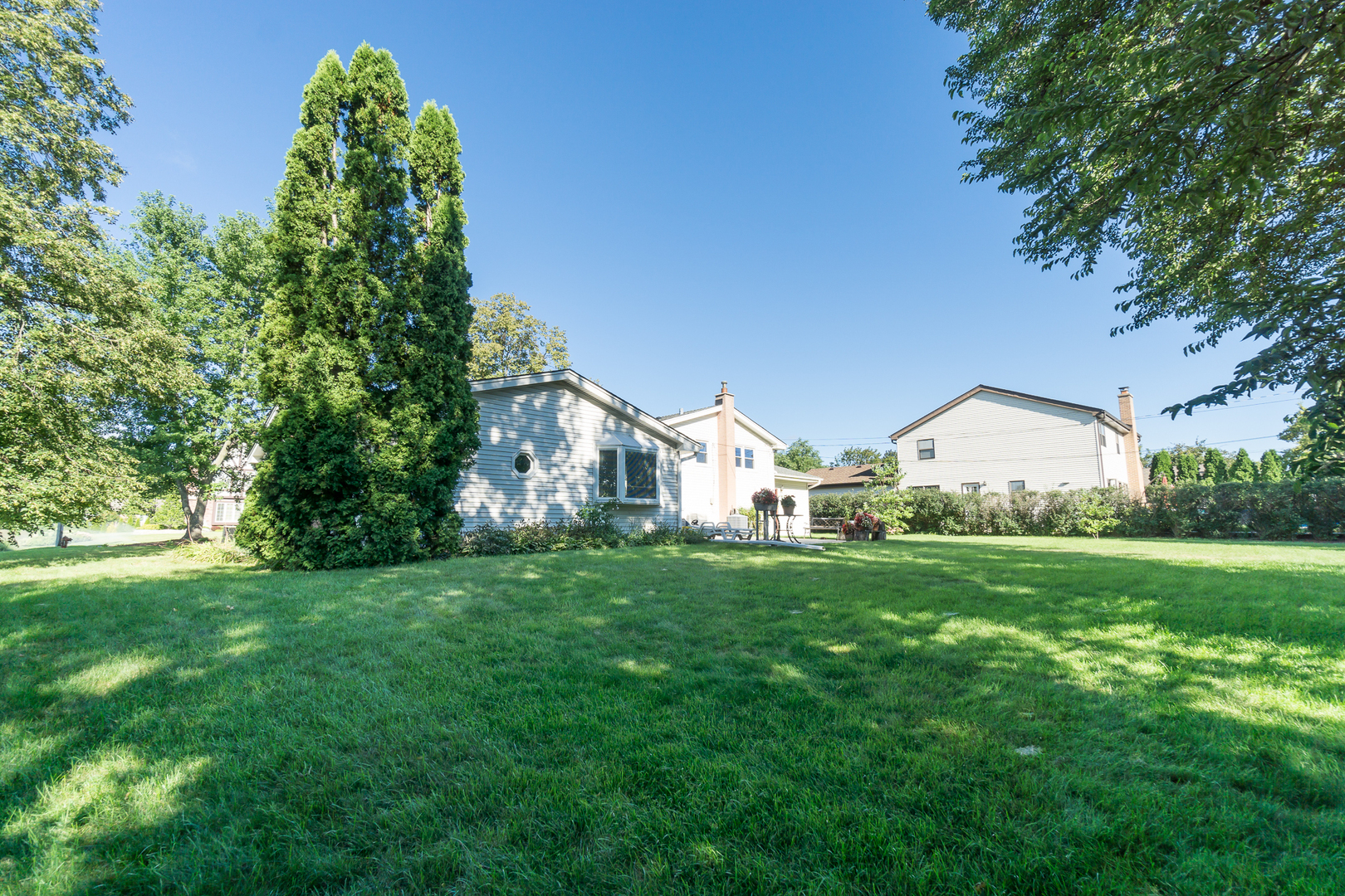 1105 S Evergreen Avenue, Arlington Heights, IL 60005