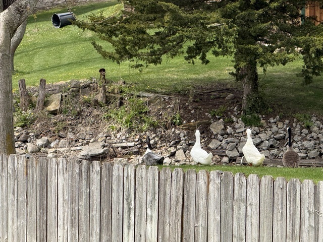 6035 Northern Drive, Morris, IL 60450